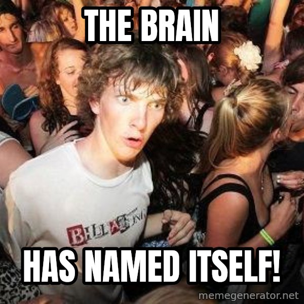 Sudden Realization Ralph meme: The brain / has named itself!