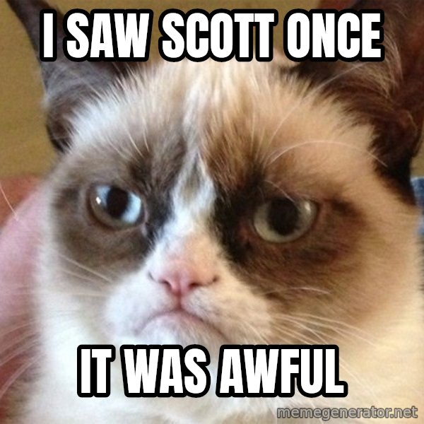 Angry Cat Meme meme: I SAW SCOTT ONCE / IT WAS AWFUL