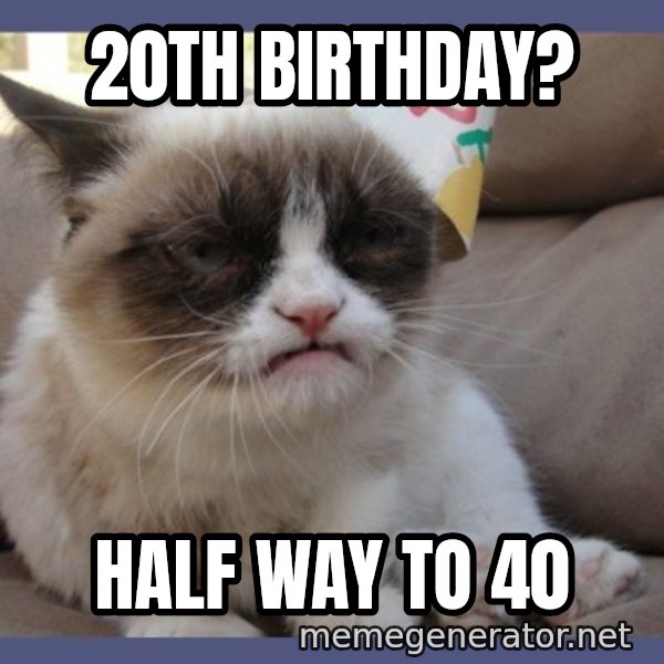 Birthday Grumpy Cat meme: 20th birthday? / half way to 40