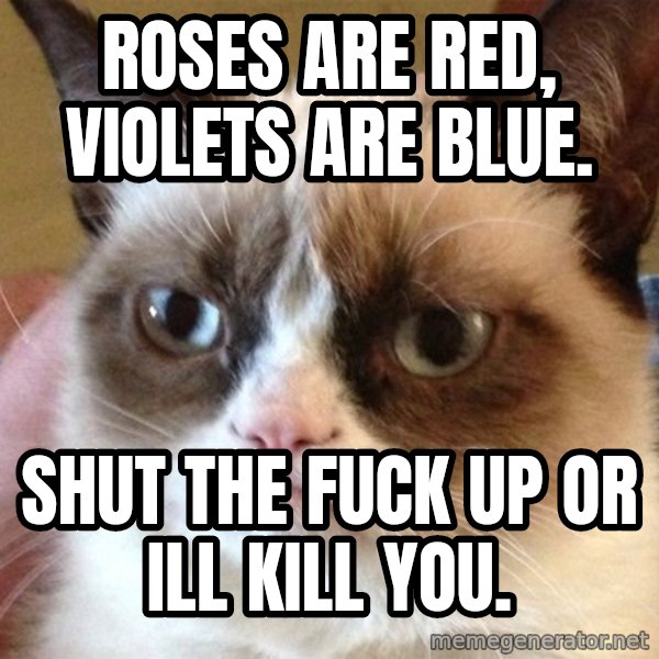 Angry Cat Meme meme: ROSES ARE RED, VIOLETS ARE BLUE. / SHUT THE FUCK UP OR ILL KILL YOU.