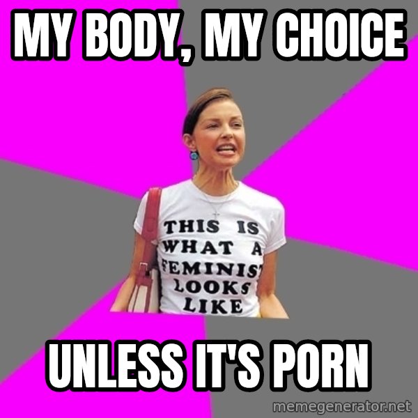 Feminist Cunt meme: My Body, my choice / unless it's porn