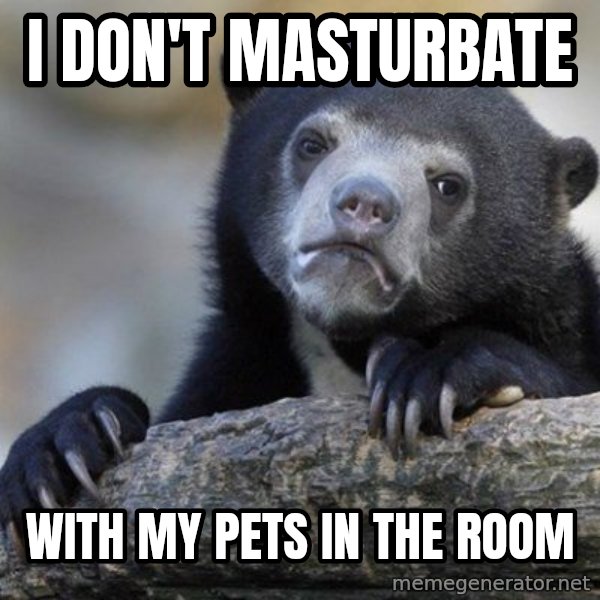 Confession Bear meme: i  don't masturbate / with my pets in the room