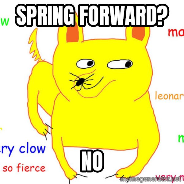 Grumpy Cat  meme: Spring forward? / NO