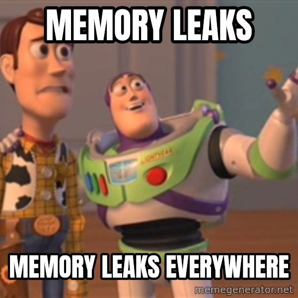 Tseverywhere meme: Memory leaks / memory leaks everywhere