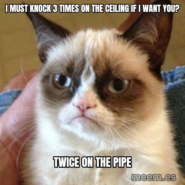 Grumpy Cat  meme: I must knock 3 times on the ceiling if I want you? / twice on the pipe