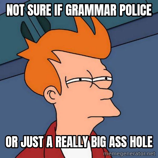 Futurama Fry meme: not sure if grammar police / or just a really big ass hole