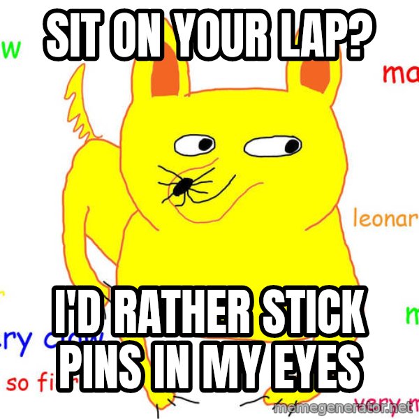 Grumpy Cat  meme: Sit on your lap? / I'd rather stick pins in my eyes