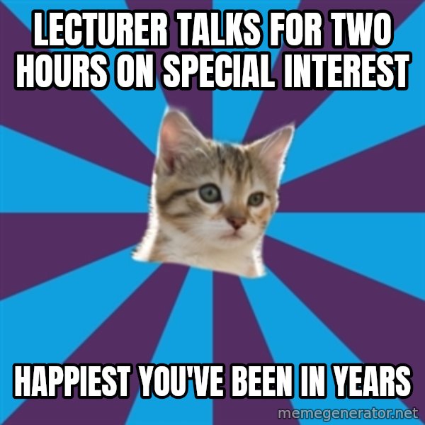 Autistic Kitten meme: lecturer talks for two hours on special interest / happiest you've been in years