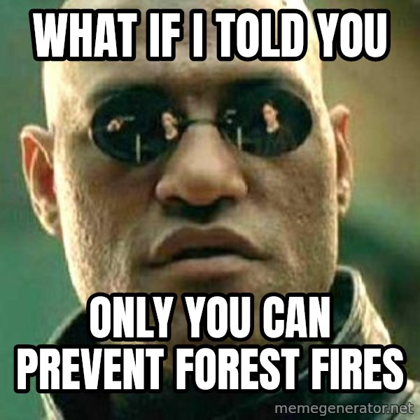 What if I told you / Matrix Morpheus meme: what if i told you / only you can prevent forest fires