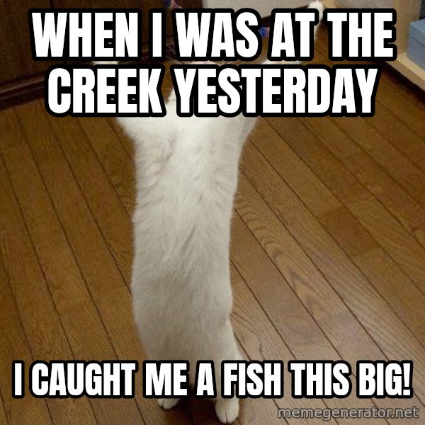 praise the lord cat meme: when i was at the creek yesterday / i caught me a fish this big!