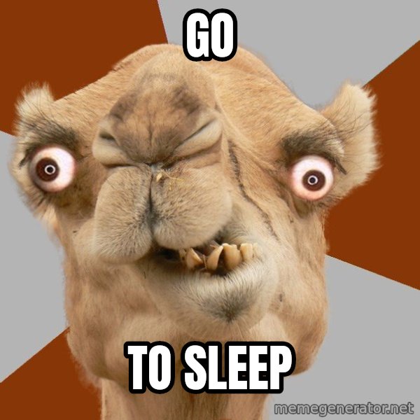 Crazy Camel lol meme: go / to sleep