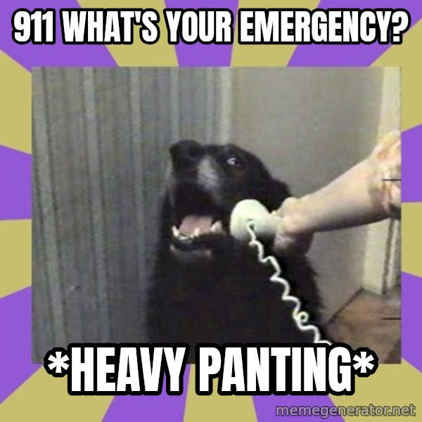 Yes, this is dog! meme: 911 WHAT'S YOUR EMERGENCY? / *HEAVY PANTING*