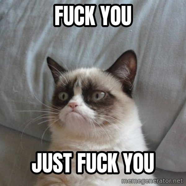 Grumpy cat good meme: FUCK YOU / JUST FUCK YOU
