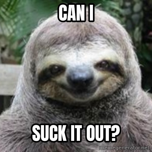 Sexual Sloth meme: CAN I / SUCK IT OUT?