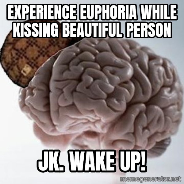 Scumbag Brain meme: Experience Euphoria while kissing Beautiful Person / JK. Wake up!