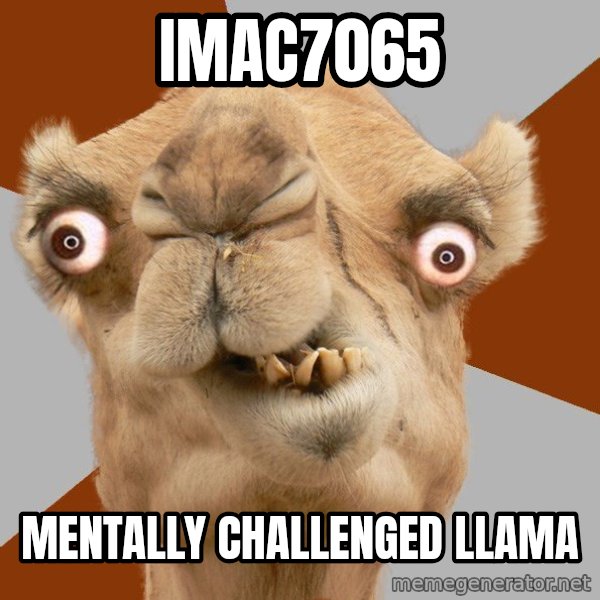 Crazy Camel lol meme: Imac7065 / Mentally Challenged LLama