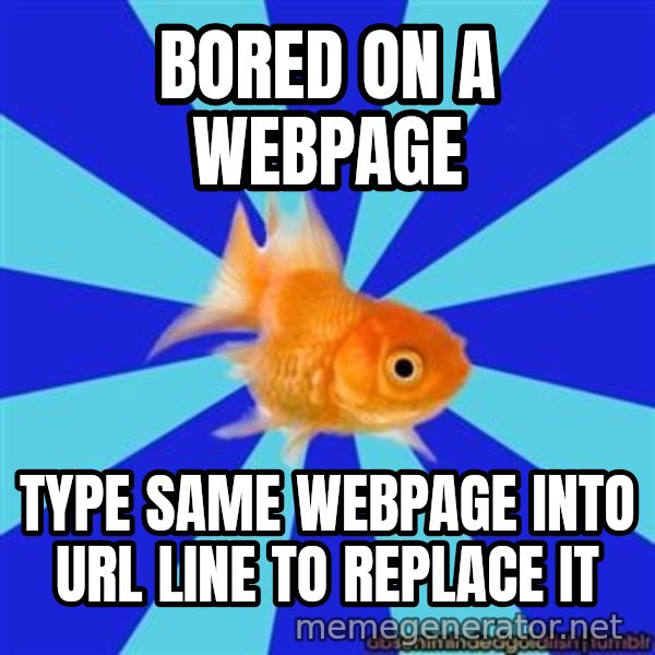 Absentminded Goldfish meme: Bored On A WebPAGe / TypE Same WEBPAGE INTO URL LINE TO REPLACE IT