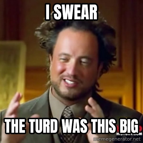 Ancient Aliens meme: i swear / the turd was this big