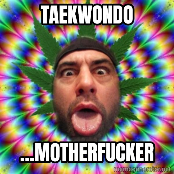 Joe Rogan meme: Taekwondo / ...MOTHERFUCKER