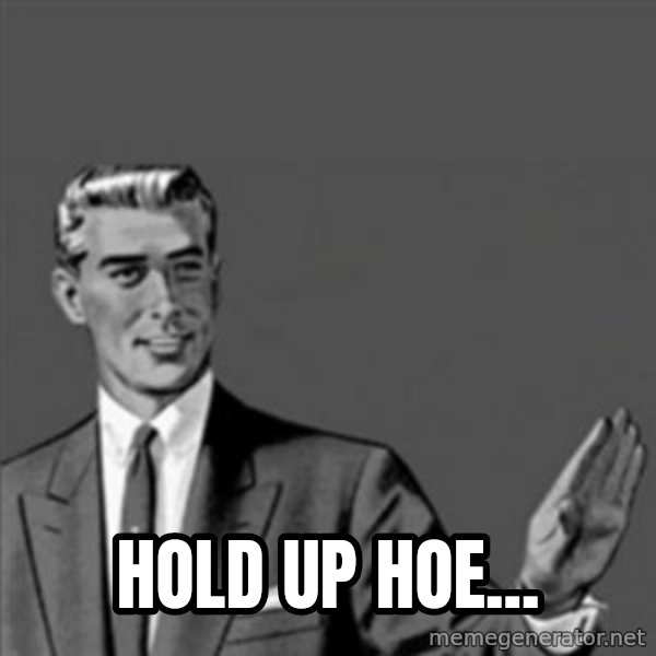 Correction Guy meme: Hold up hoe...