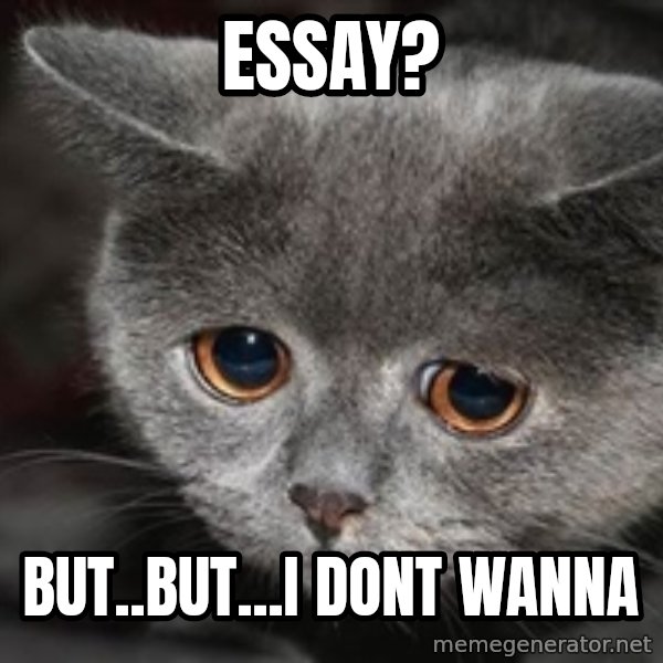 Sadcat meme: Essay? / BUT..but...i dont wanna