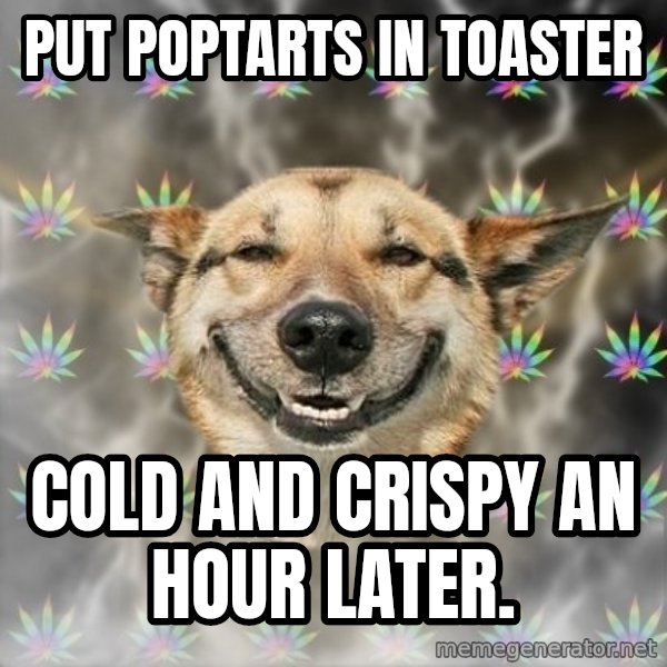 Stoner Dog meme: Put poptarts in toaster / cold and crispy an hour later.