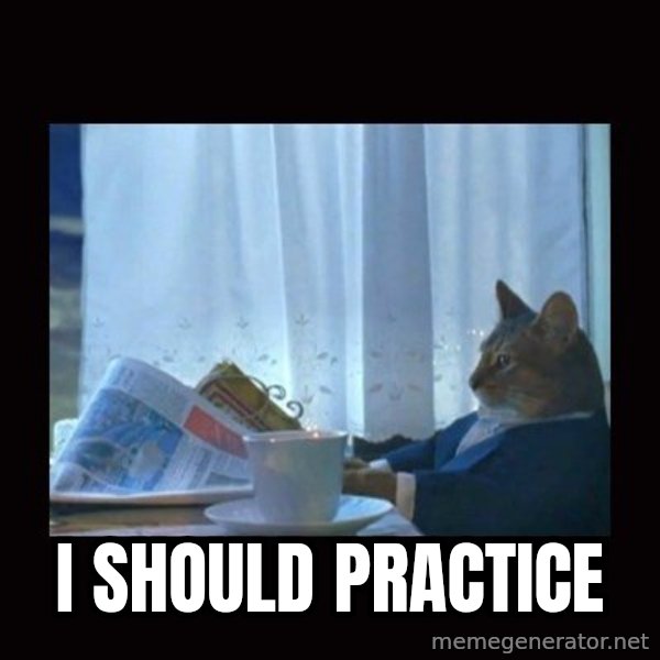 i should buy a boat cat meme: I should practice
