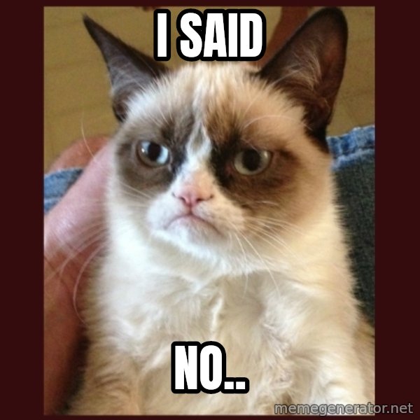 Tard the Grumpy Cat meme: I said / No..