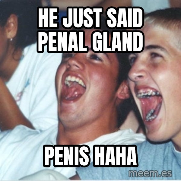 Immature high school kids meme: he just said penal gland / penis haha