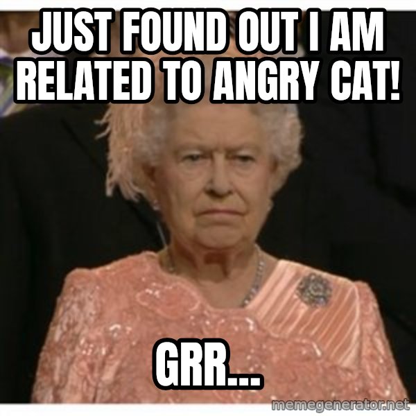Unimpressed Queen meme: Just found out i am related to angry cat! / grr...