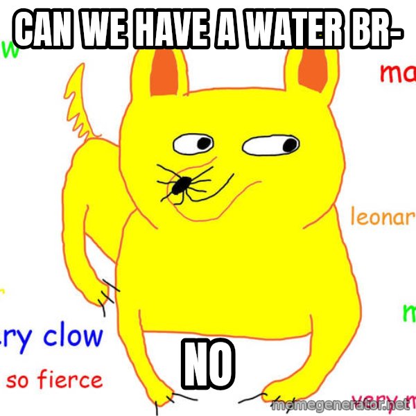 Grumpy Cat  meme: Can we have a water br- / NO