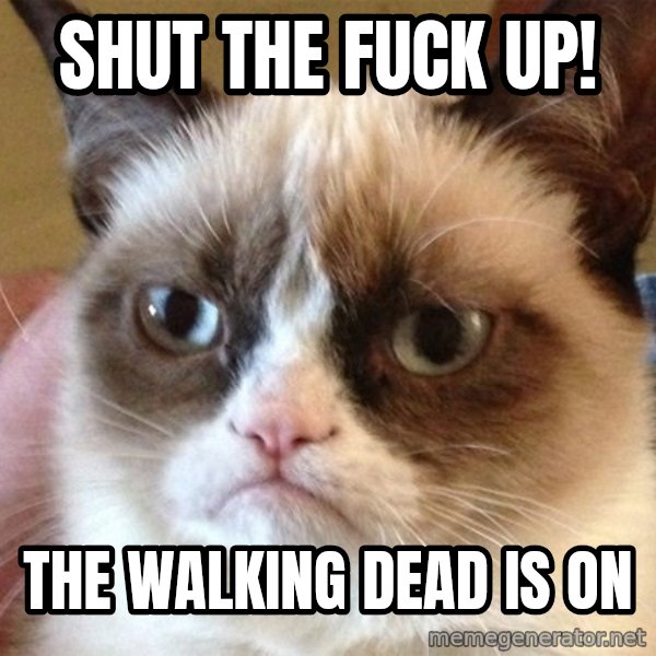 Angry Cat Meme meme: Shut the fuck up! / The walking dead is on