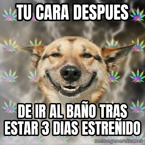 Stoner Dog meme: TU CARA DESPUES / DE IR AL BAÑO TRAS ESTAR 3 DIAS ESTREÑIDO