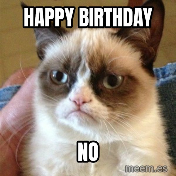 Grumpy Cat  meme: HAPPY BIRTHDAY / NO