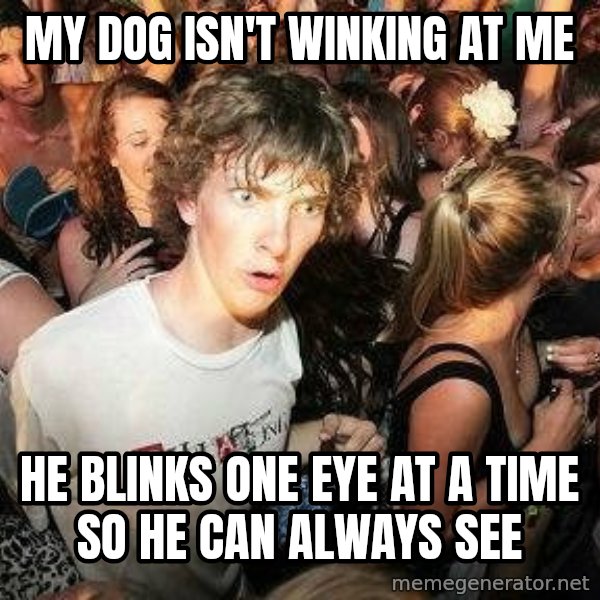-Sudden Clarity Clarence meme: My dog isn't winking at me / He blinks one eye at a time so he can always see