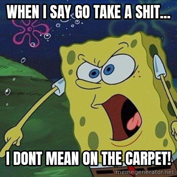 Spongebob Rage meme: when i say go take a shit... / i dont mean on the carpet!