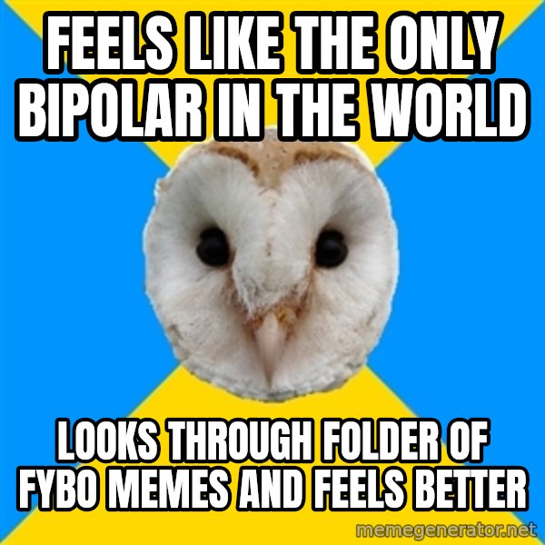 Bipolar Owl meme: Feels like the only bipolar in the world / Looks through folder of FYBO memes and feels better