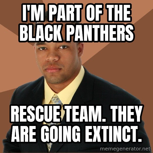 Successful Black Man meme: i'm part of the black panthers / rescue team. they are going extinct.