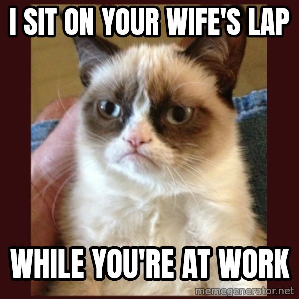 Tard the Grumpy Cat meme: i sit on your wife's lap / while you're at work