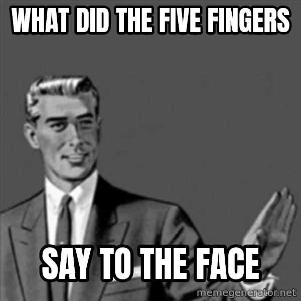 Correction Guy meme: what did the five fingers / say to the face