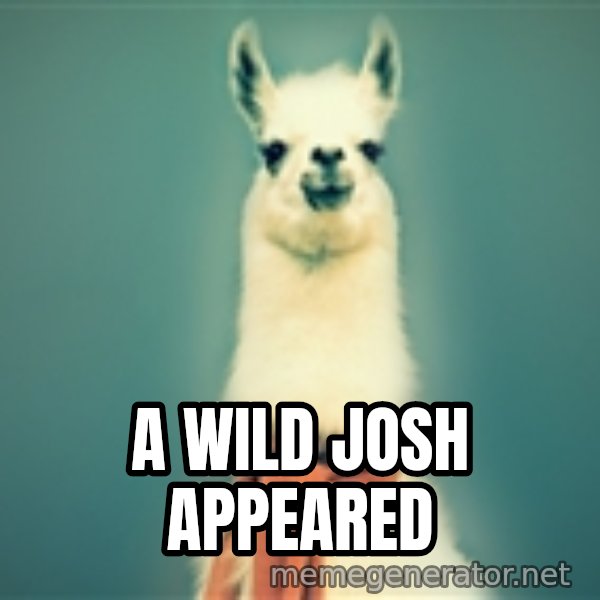 Pancakes llama meme: A WILD JOSH APPEARED