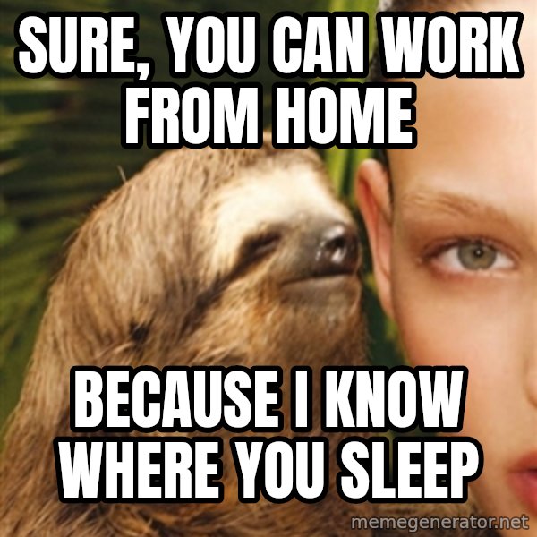 The Rape Sloth meme: Sure, you can work from home / Because I know where you sleep