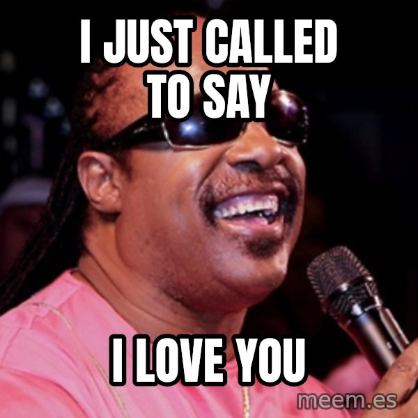 stevie wonder meme: I Just Called to Say / I Love you