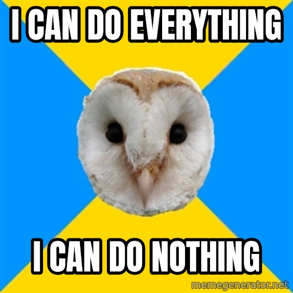 Bipolar Owl meme: I can do everything / I can do nothing