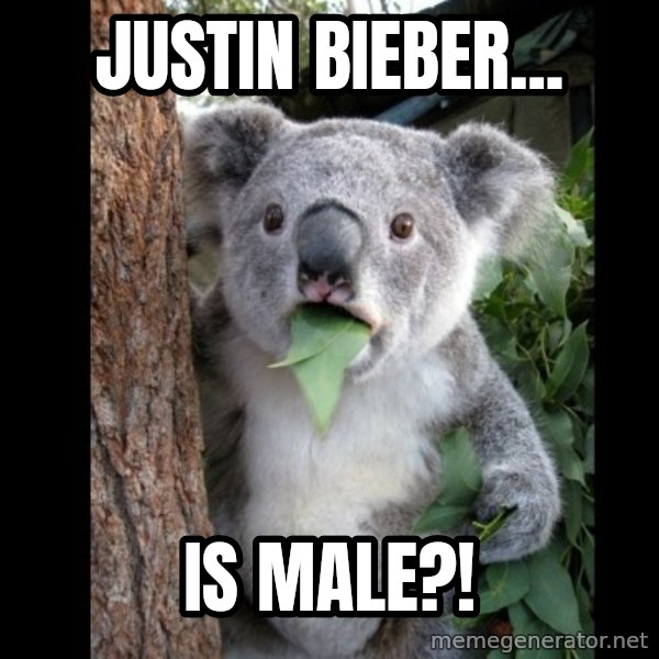 Koala can't believe it meme: JUSTIN BIEBER... / IS MALE?!