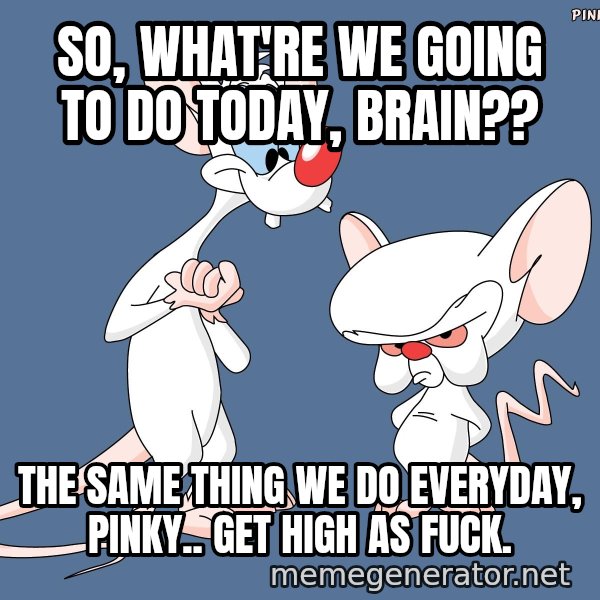 Pinky And The Brain meme: so, what're we going to do today, brain?? / the same thing we do everyday, pinky.. get high as fuck.