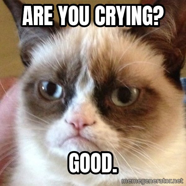 Angry Cat Meme meme: Are you Crying? / Good.