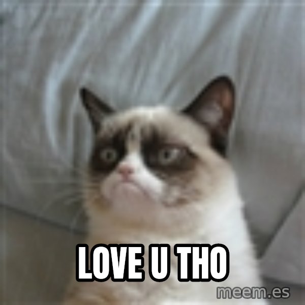 Grumpy Cat ={ meme: love u tho