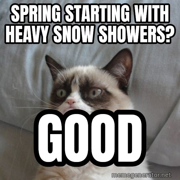 Grumpy cat good meme: Spring starting with heavy snow showers? / good