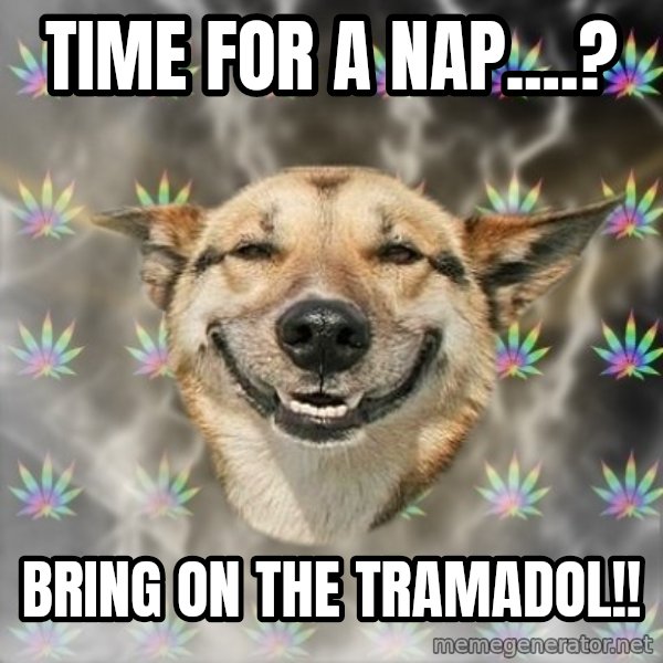 Stoner Dog meme: time for a nap....? / bring on the tramadol!!